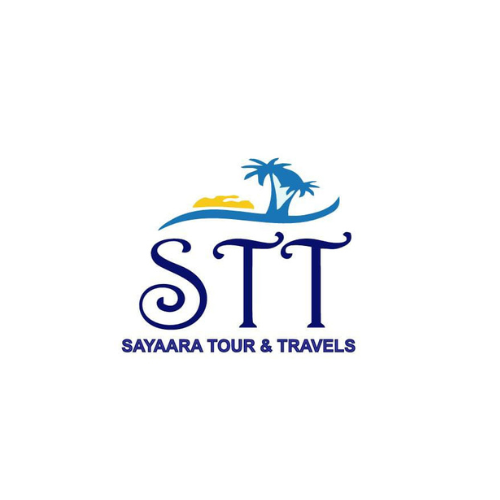 sayaaratourandtravels.com